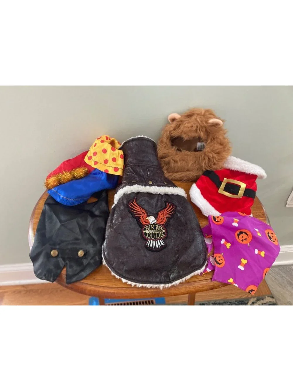 Set Of 6 Dog Costumes: Biker Santa Clown Pumpkin Lion Mane & Black Vest Sz S